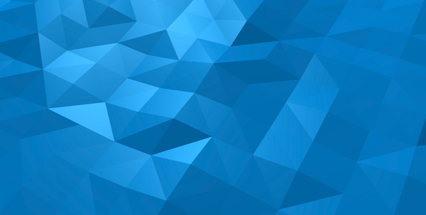 The Hydrogen Network